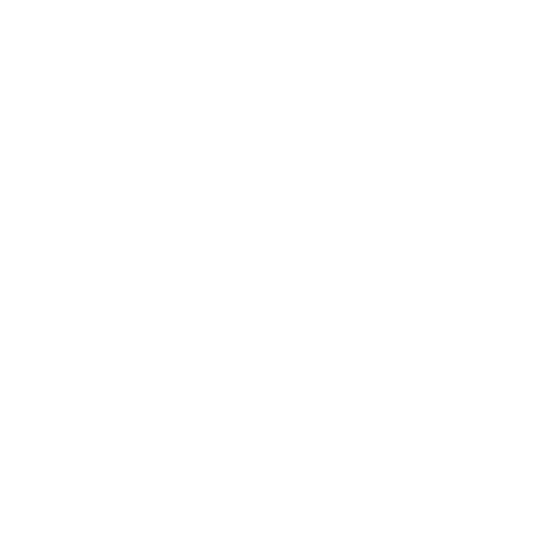 Logo perfect Travel